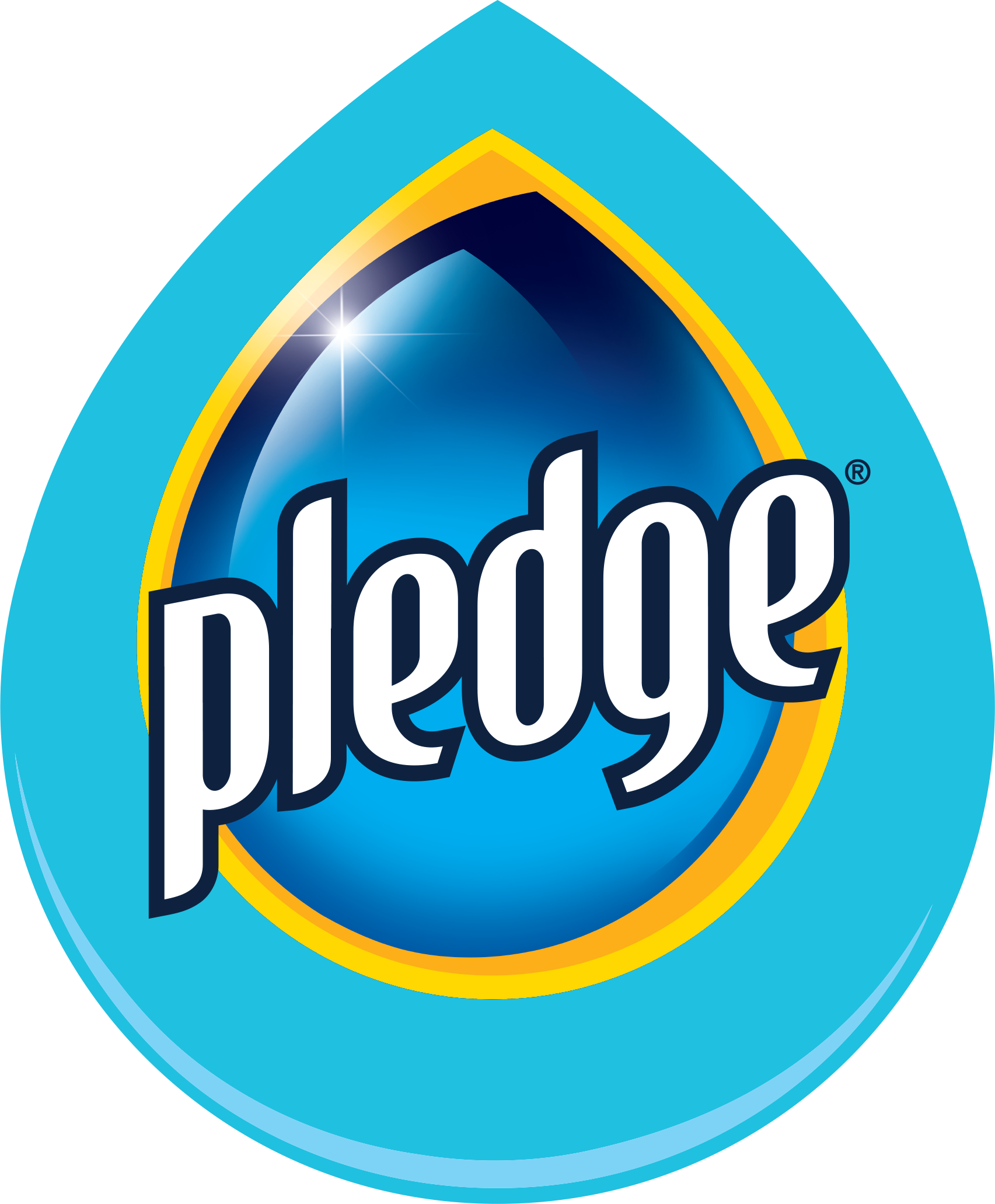 A blue Pledge logo.
